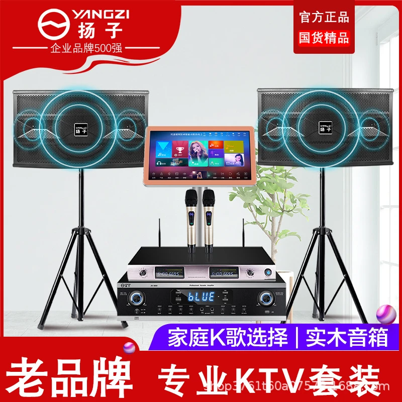 【今日热推】扬子家庭KTV音响套装K歌家用点唱机卡拉ok专业演出音箱