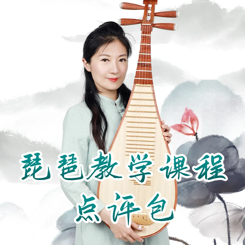 五色风五色风琵琶演奏教学课程权老师点评包+精讲+兴趣+自学+学琴