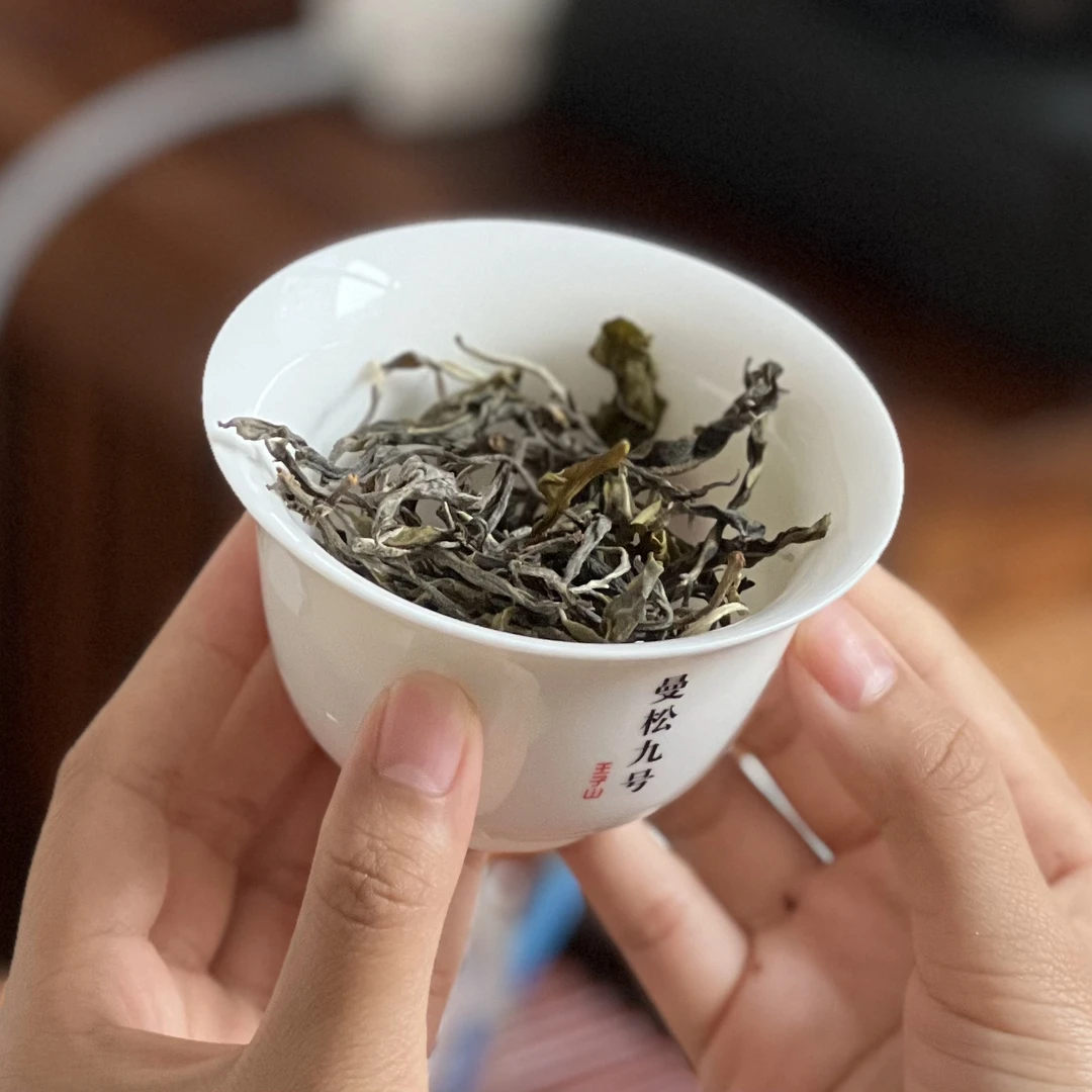 2025年 二春 曼松王子山乔木 100克