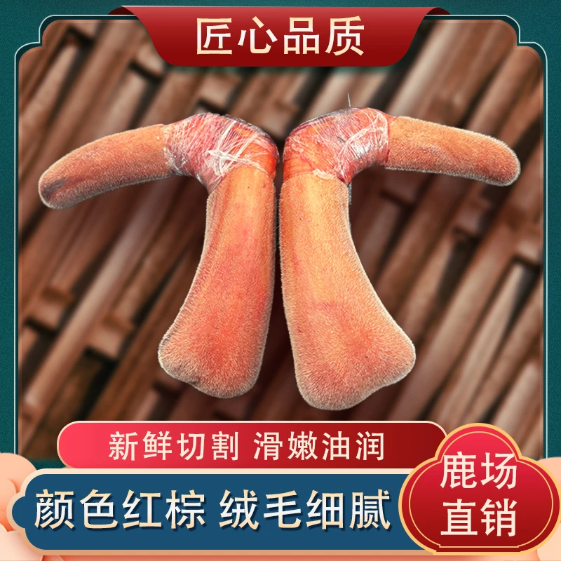 新鲜鹿茸  东北特产 煲汤泡酒 已发实物为准