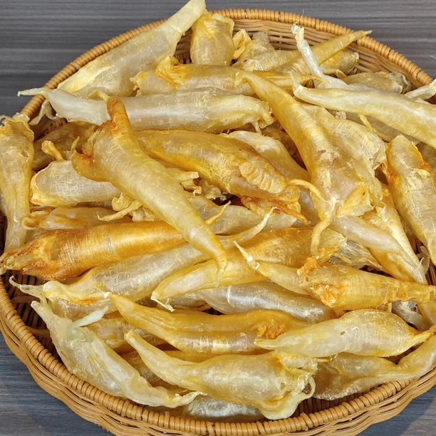 【优百裕甄选】北海公筒58头 鱼胶鱼肚花胶干货口感Q弹煮汤滋补靓货