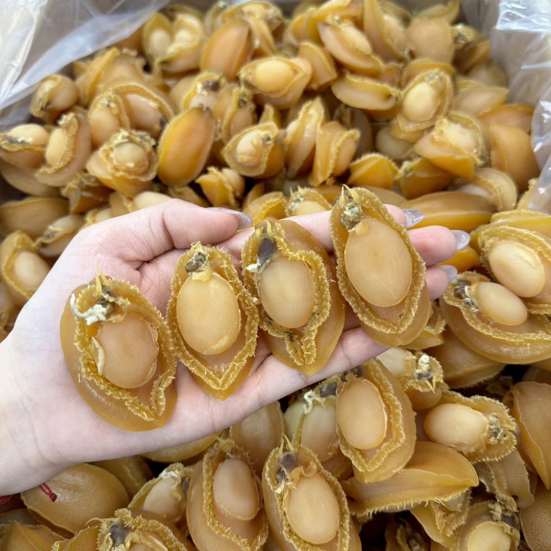 【恩姐甄选】鲍鱼20/25头优品漂亮货