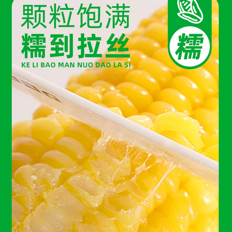 【糯玉米专场】宝宝玉米头茬新鲜微甜东北糯黏玉米10根3000g试吃2根