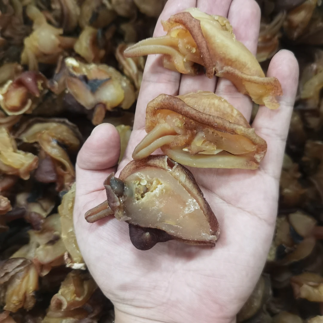 精选螺嘴 新鲜淡口 500g