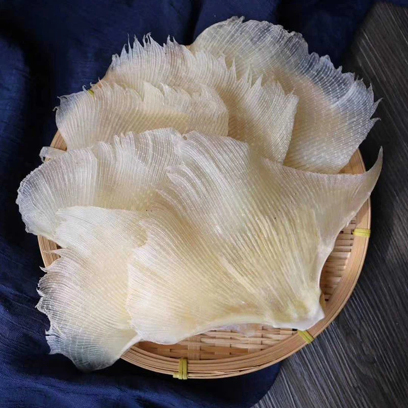 新鲜鱼海狗翅煲汤海鲜煲汤250g 蒲鱼