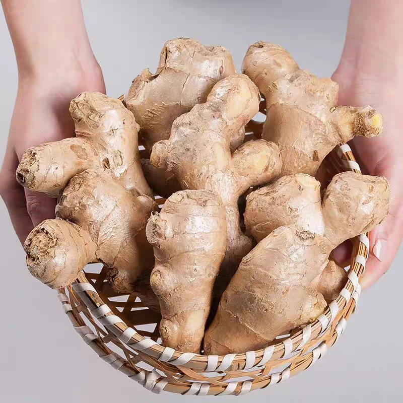 本地大肉姜 味浓煲汤