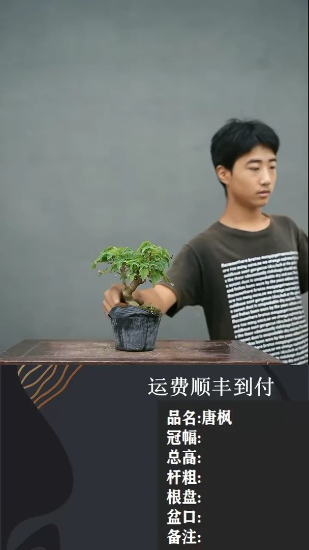 【闪购商品】76
