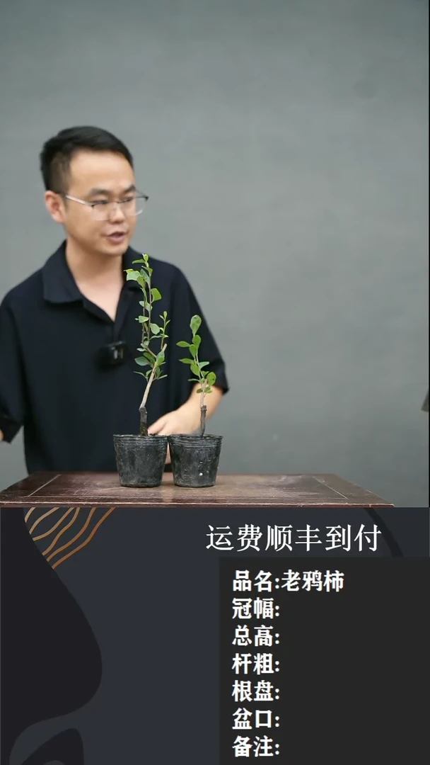 【闪购商品】21