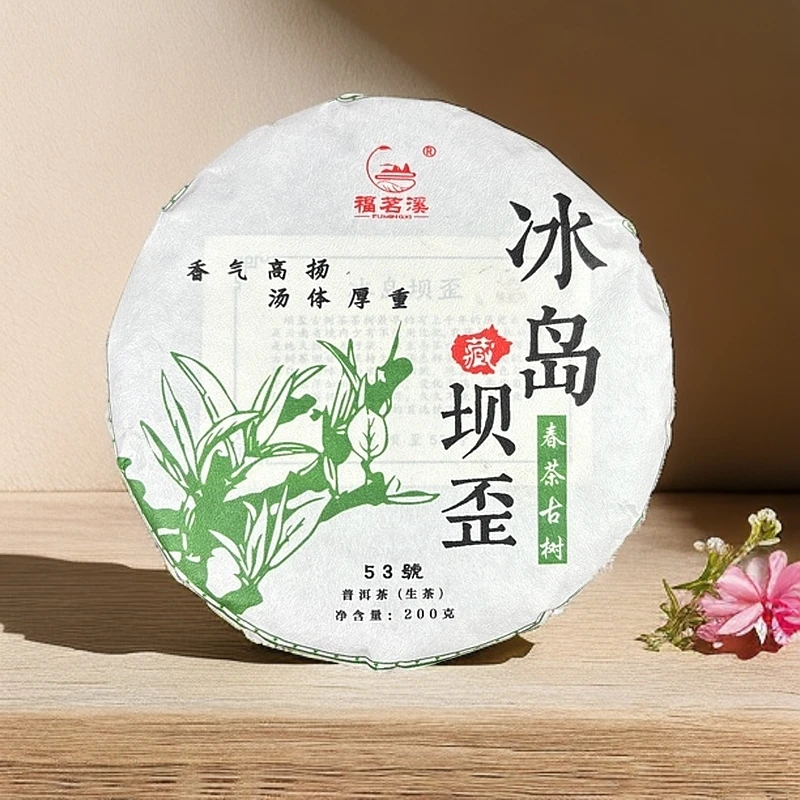 冰岛坝歪53号:2024年古树春茶