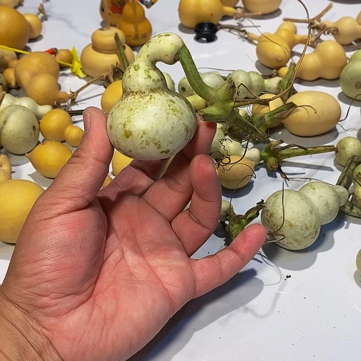 都****)精品葫芦手把葫芦28
