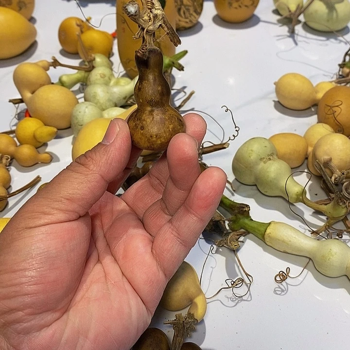 ?**凯精品葫芦手把葫芦精品20