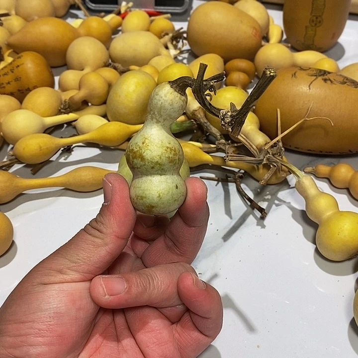 嘉*精品葫芦手把葫芦28