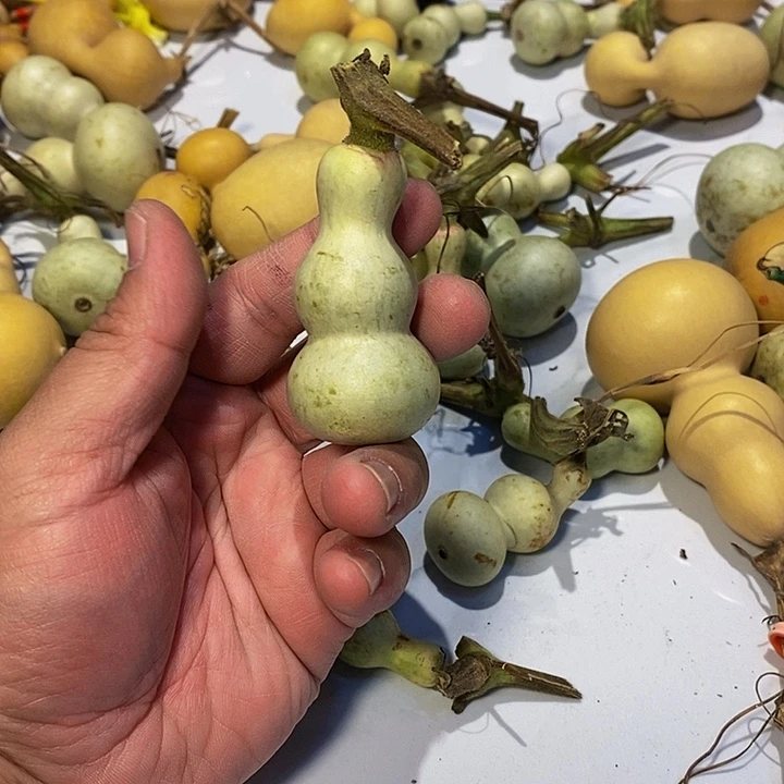 扬精品葫芦手把葫芦精品44