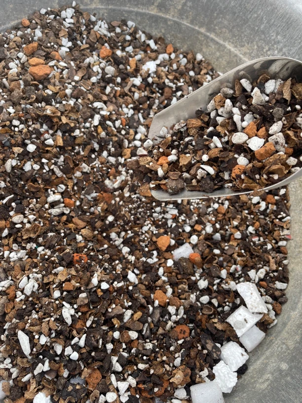 汝阳知兰园运费专拍单惠兰兰花