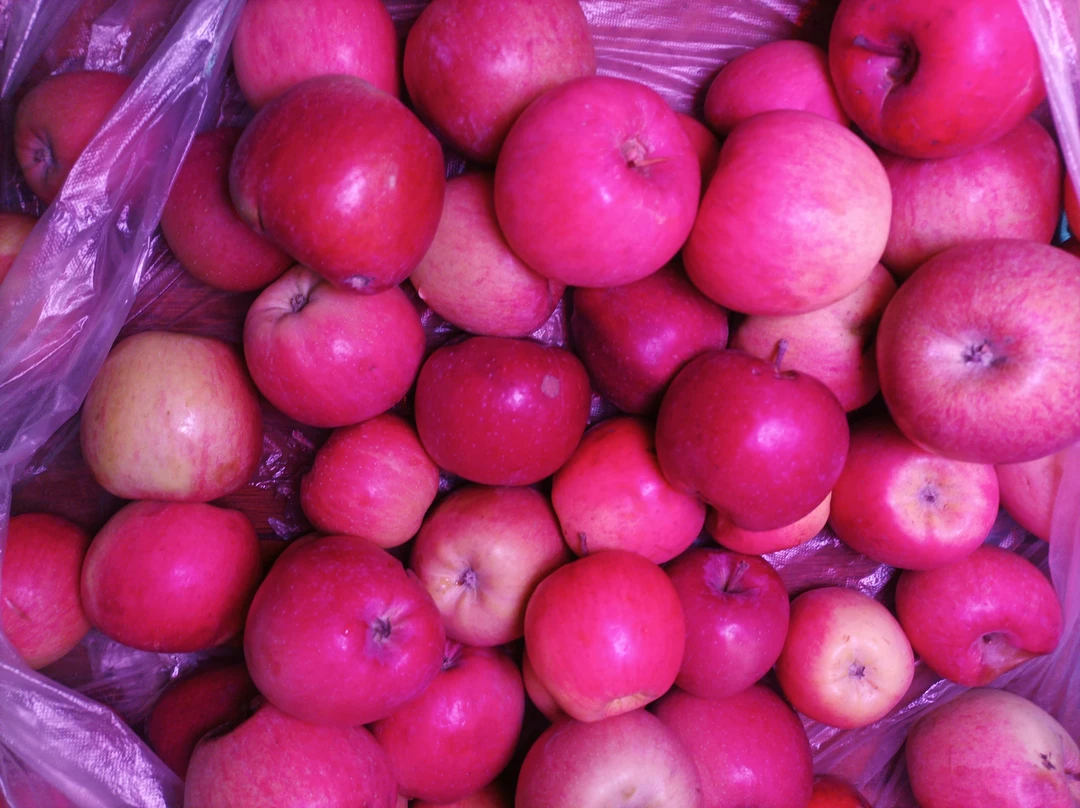 高山丑苹果纯甜无酸，香甜清脆一箱10斤