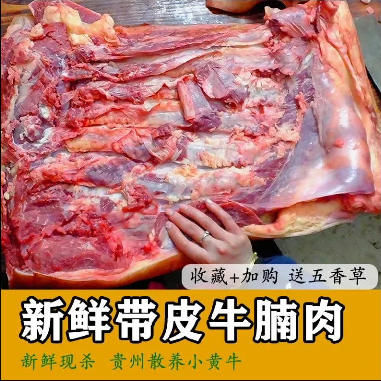 【带皮去骨牛腩】贵州本地生鲜农户散养小黄牛头整只批发