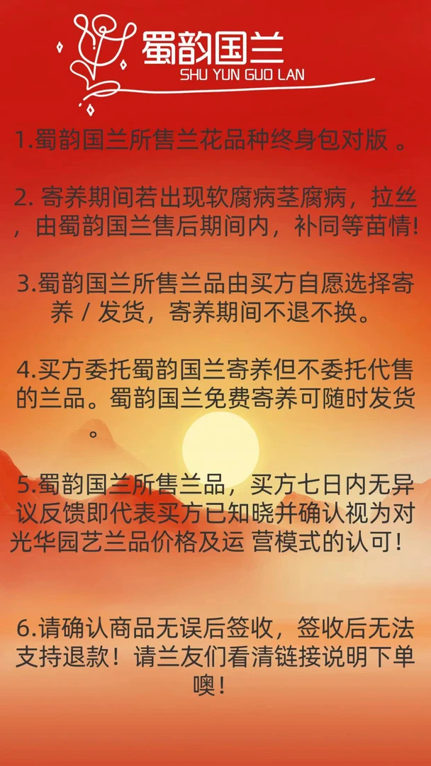 蜀韵国兰（一组一拍链接）