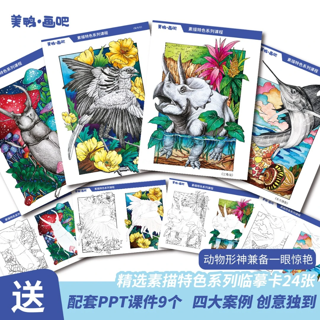 特色动物素描彩色系列24张A4双面创意儿童美术临摹卡精选素描印刷