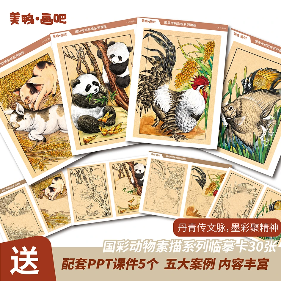 2024开春新品国彩动物创意素描原创传统国画临摹卡两面30张A4印刷