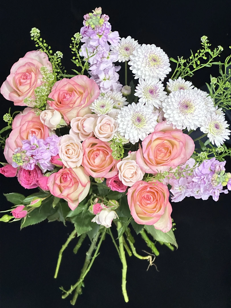 Winterha 寒冬雾榛 |爱莎玫瑰混搭苏菲宝贝鲜花家庭四川次日达