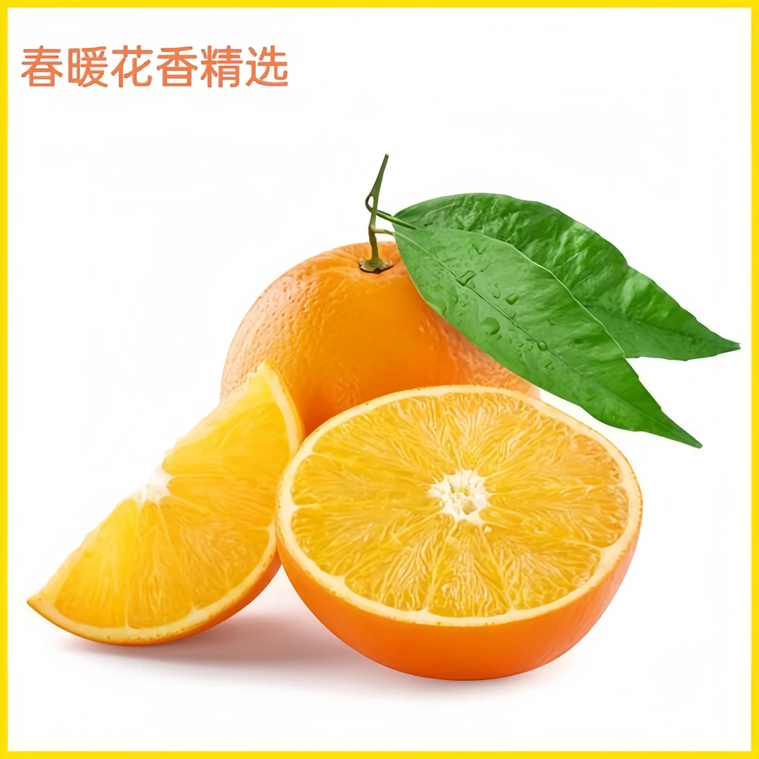 赣南脐橙江西赣州橙子