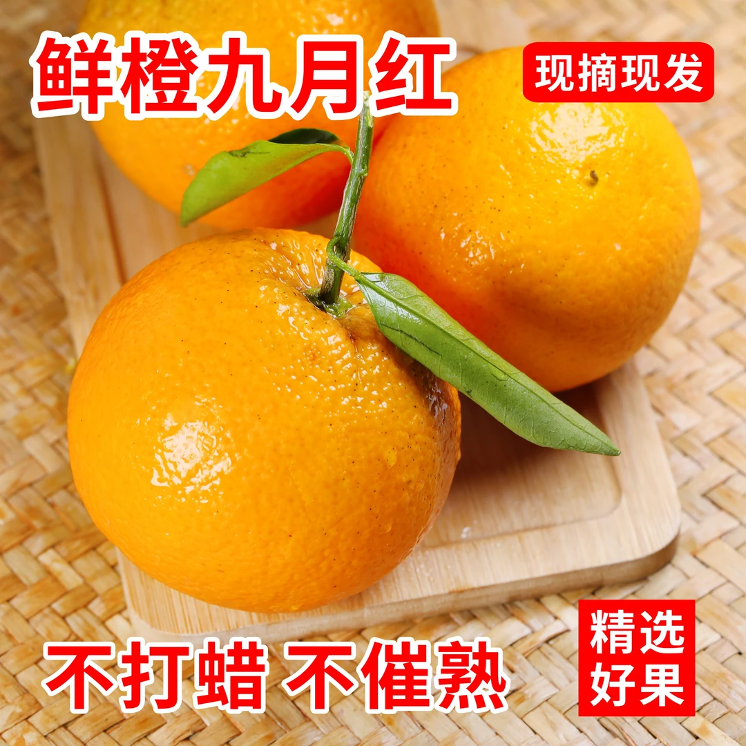 湖北特产新鲜九月红橙子果冻橙果园直发爆甜肉嫩多汁当季水果