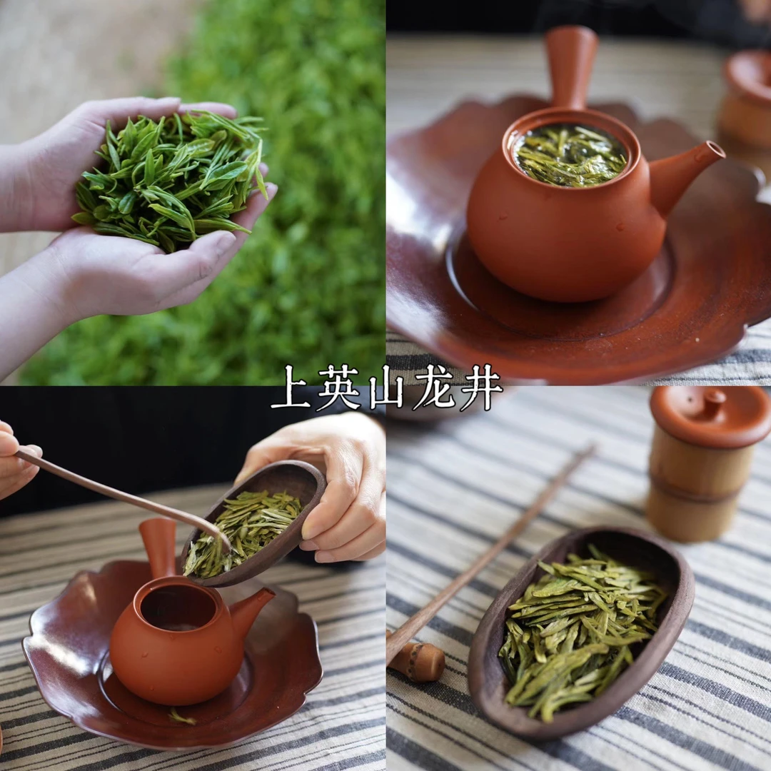 上英山绿茶（龙井茶，石笕茶）春天小叶种原叶富含氨基酸维生素
