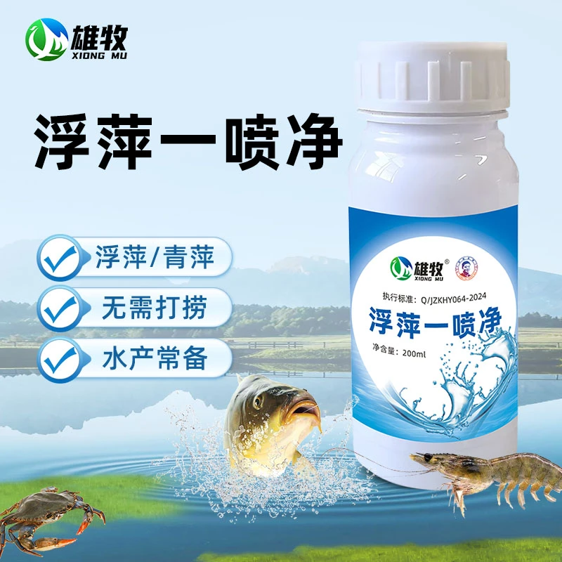【雄牧】浮萍一喷净池塘水产养殖景观池河道使用产品厂家直销