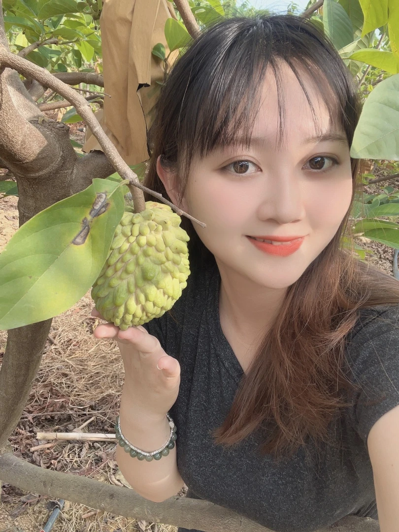 （礼盒装+精品大果）新鲜凤梨释迦果当季水果果园采摘包邮