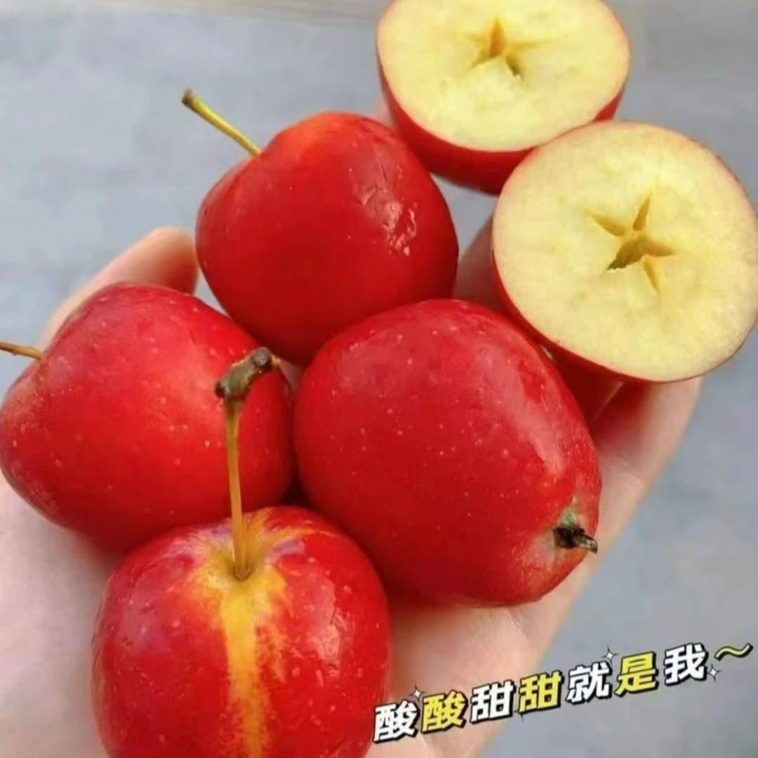 新疆香妃海棠果 闻着清香，吃后留香～ 轻轻咬一口，酸酸甜甜的味道果脯