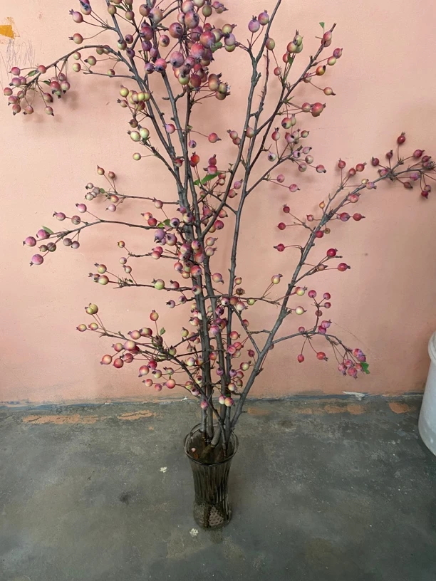 海棠果红色果鲜切枝 插花 花卉 小苹果