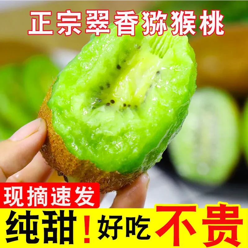 当季水果［顺丰包邮］陕西周至翠香猕猴桃 果园直发 4斤22枚礼盒装