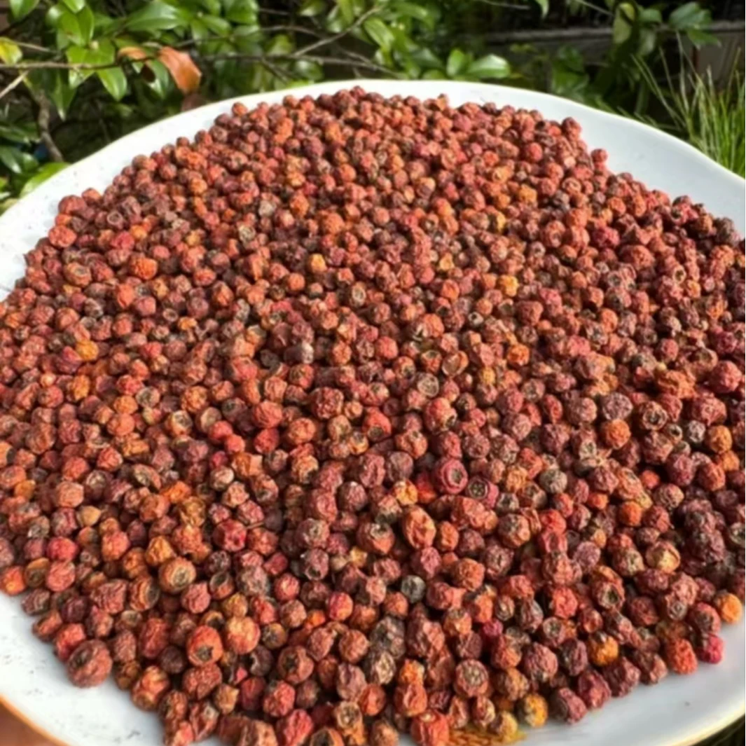 青青山货 紫衫果