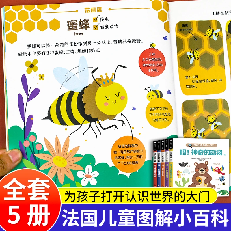 法国图解小百科儿童趣味百科全书正版交通工具3-6岁科学启蒙绘本