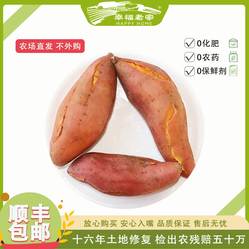 幸福老家有机红薯1斤 细腻软糯 产地直发 营养健康 零农药零化肥