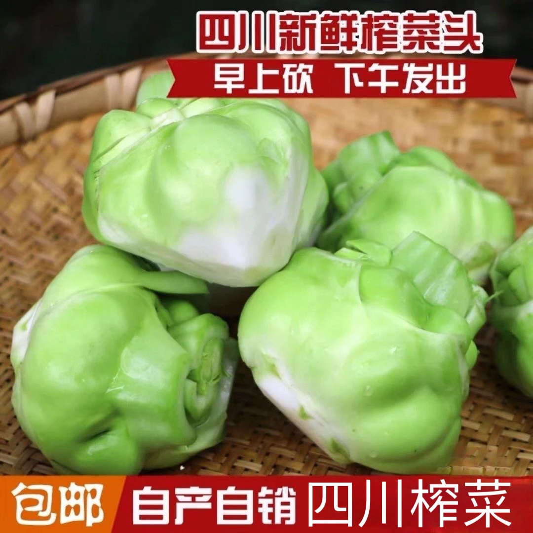 【顺丰包邮】新鲜榨菜头四川特产榨菜头农家新鲜可做腌制咸菜食材