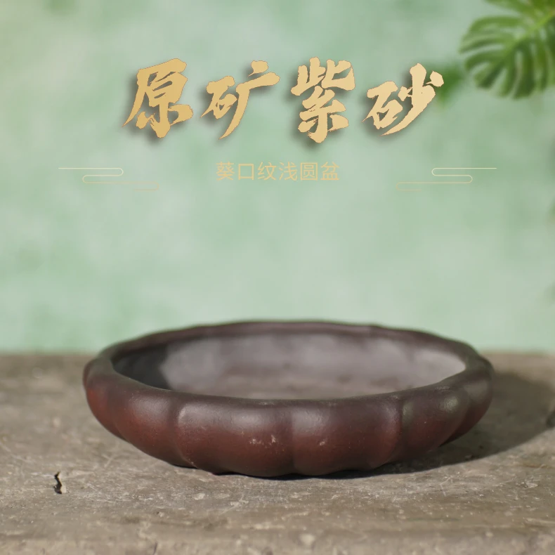 【庆59】原矿紫砂手工艺术制作葵口纹浅圆盆非窑变颜色