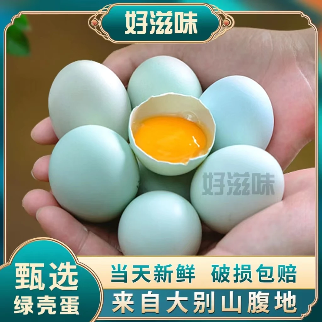 大别山散养土鸡蛋高品质当日新鲜鸡蛋优质绿壳蛋营养乌鸡蛋绿壳蛋