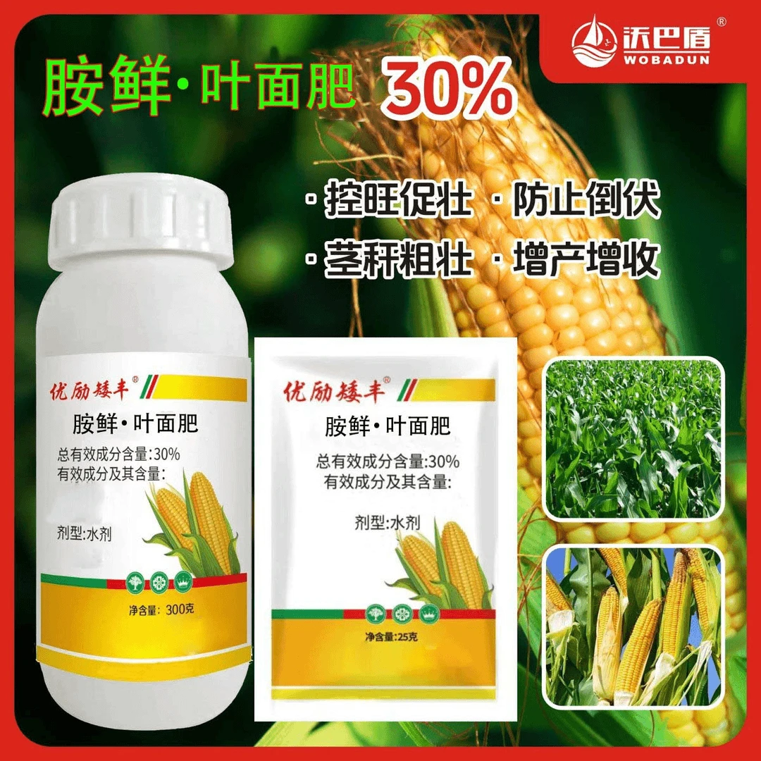 【沃巴盾】玉米控旺胺鲜已西利促进农作物生长叶面肥