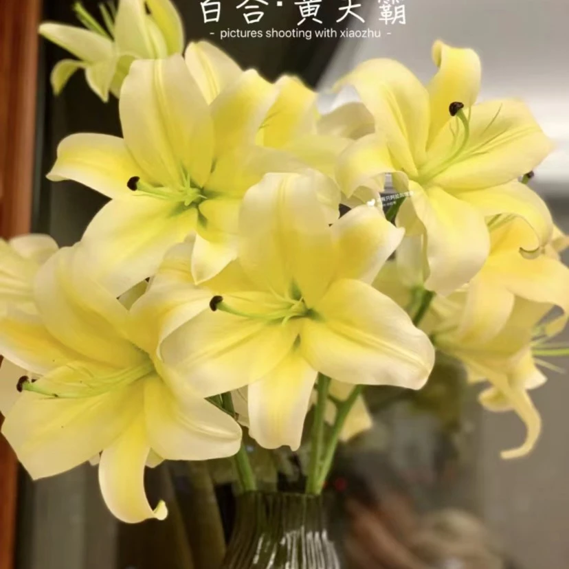 【黄天霸】2头5枝浓香型香水百合 | 全场任意两单包邮