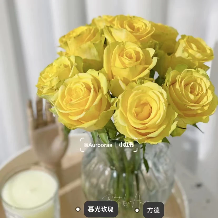方德品牌暮光20枝,亮黄色家居提亮绝绝子,2度以下必拍保温棉