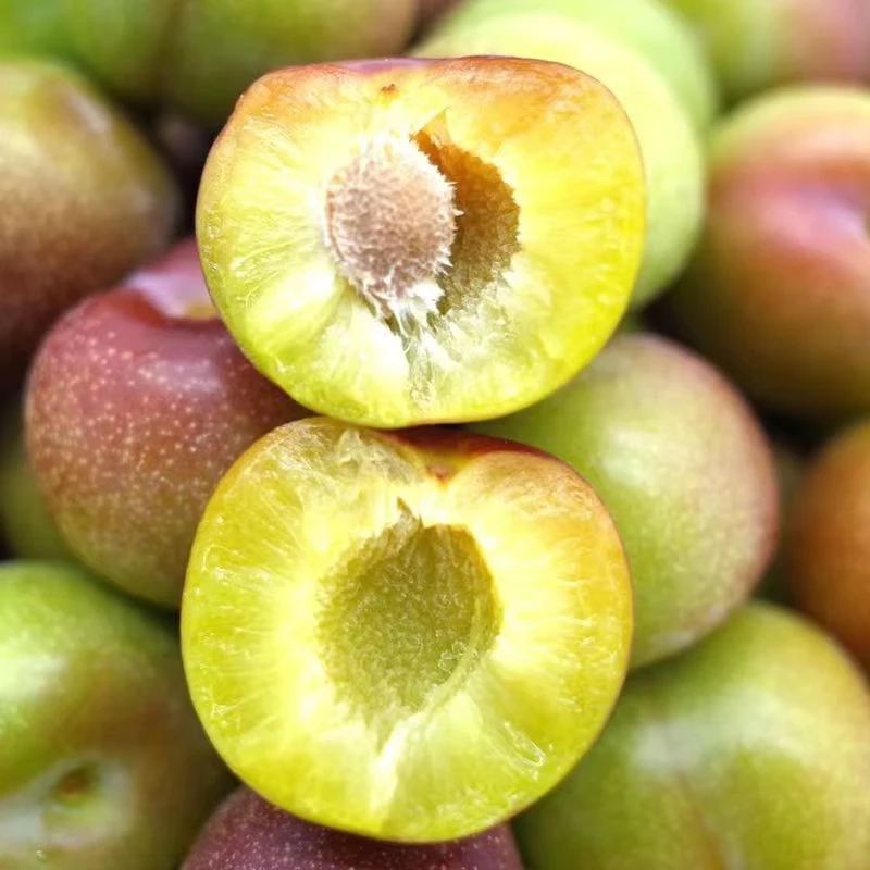 正宗高山脱骨李脆李子脆李子新鲜水果冰糖脱骨李百补