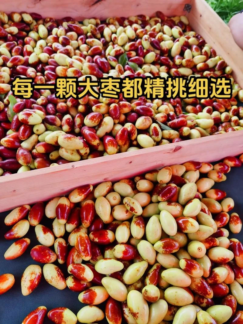 马牙枣自家种新鲜好吃脆甜美味