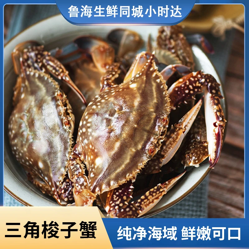 三角梭子蟹/通货（3斤/份）保鲜不保活肉质肥美