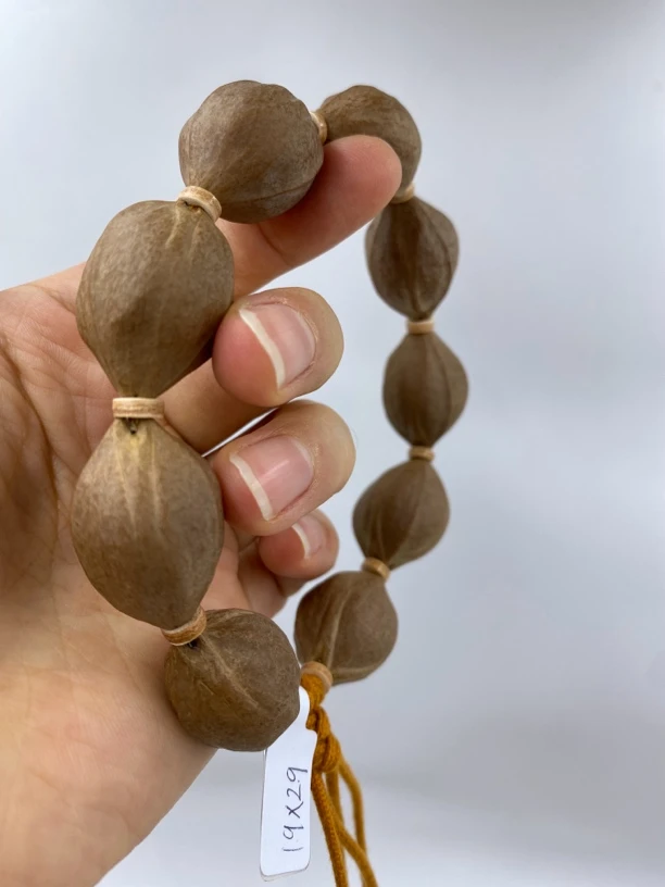 JIUYUE九月铁核    19*29三花鲨鱼背原生态梅林铁核橄榄核素串