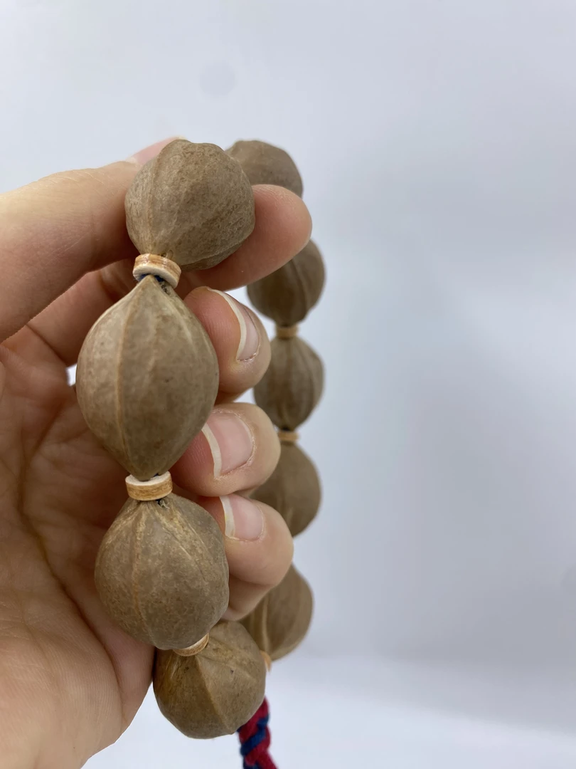 JIUYUE九月铁核    18*27三花鲨鱼背原生态梅林铁核橄榄核素串