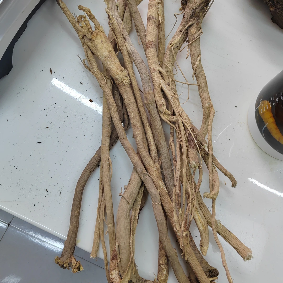 甘肃野生黄芪条状