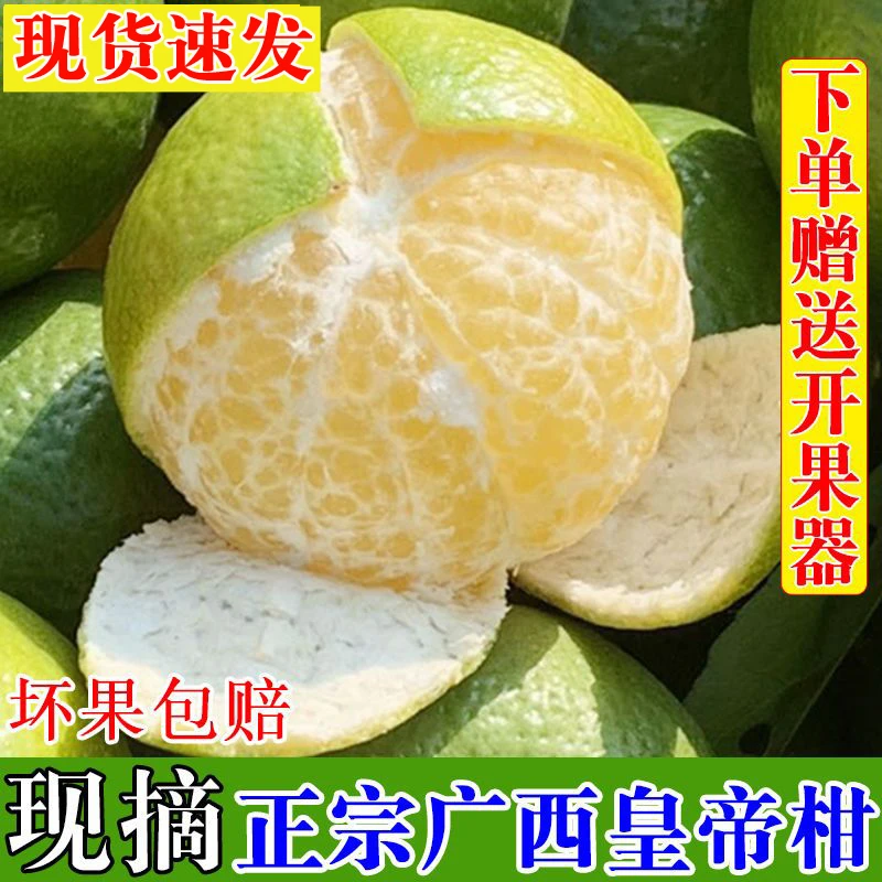 广西正宗皇帝柑新鲜皇帝柑清甜可口当季水果贡柑橘子产地直发包邮