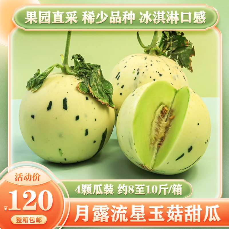 鸣山优鲜月露流星蜜瓜 冰淇淋口感软甜多汁  四颗/箱 8~10斤