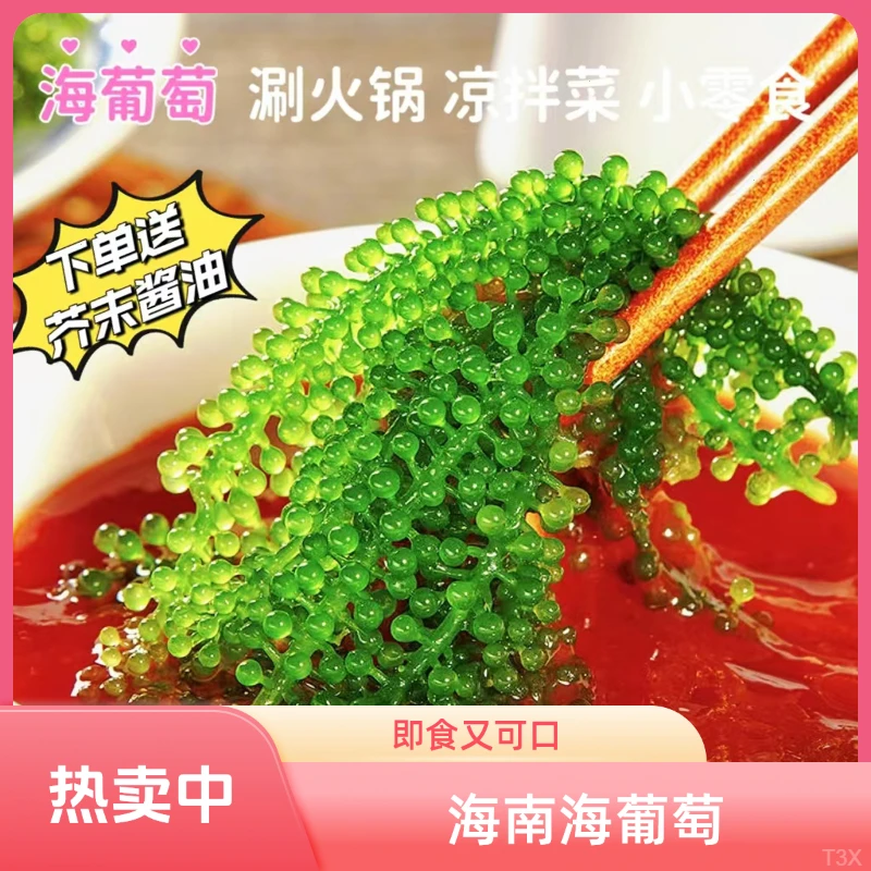 海南原产地直发 三亚海葡萄 绿色鱼子酱颗颗爆珠新鲜好吃即食